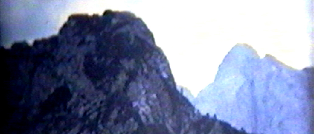 Opera di Luigi Viola