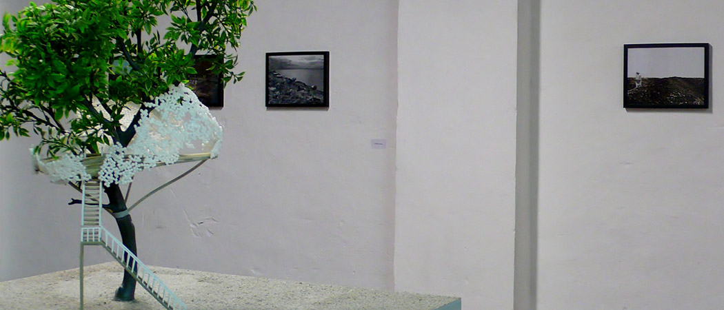 Opera Future landscape 2